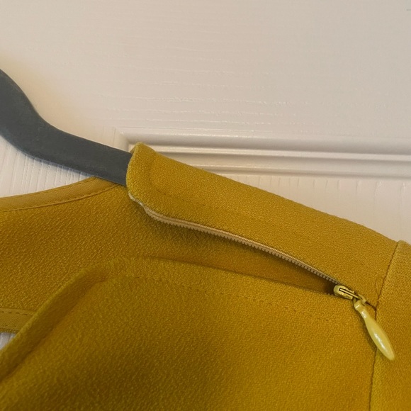 Zara shift dress. Size: M (never worn with tags). Well made. Beautiful color. - Picture 2 of 5